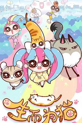 网站要怎么完善优化词